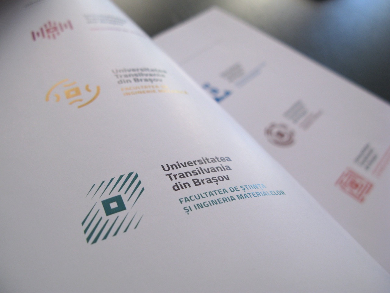 Transilvania University branding guidelines 3