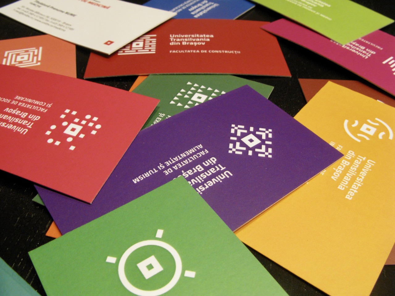 Transilvania University branding guidelines 4