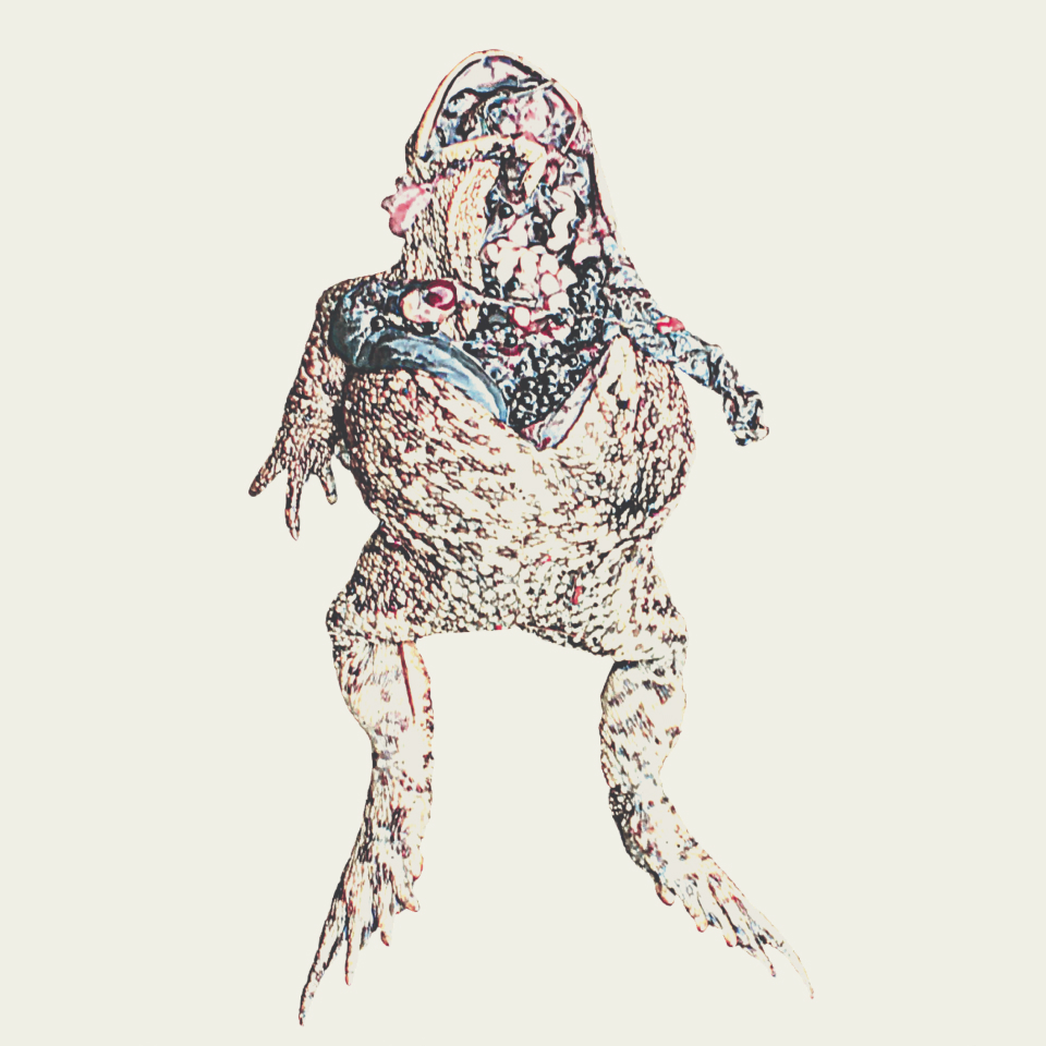 European Poetry Biennale