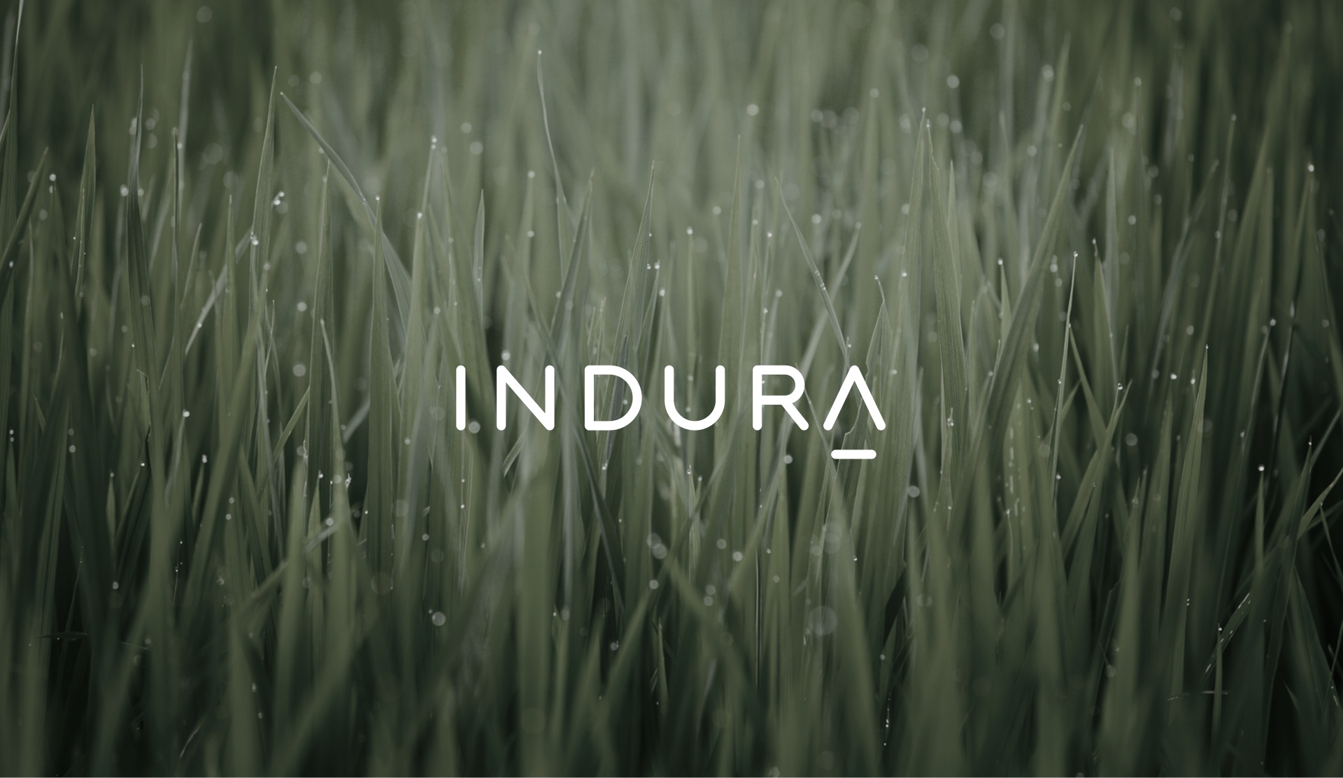 Indura logo design