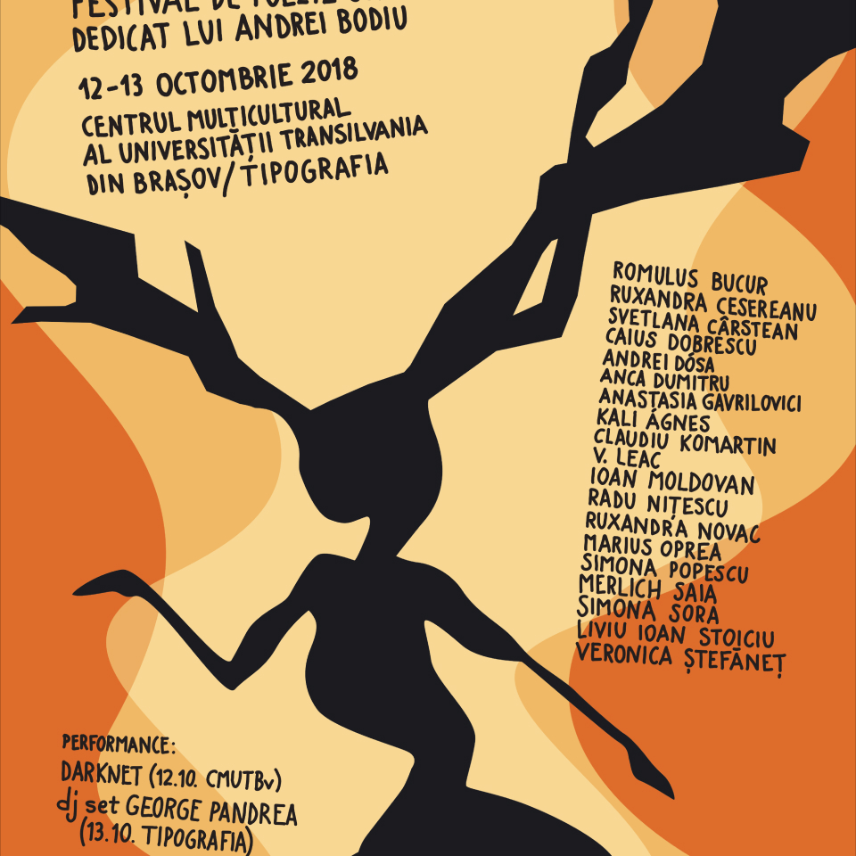 Poetii tineri poster Transilvania University